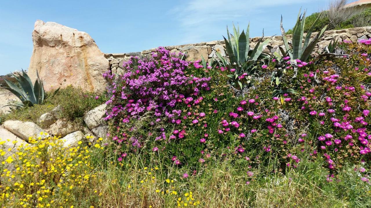 Casa Vacanze Della Maddalena Extérieur photo